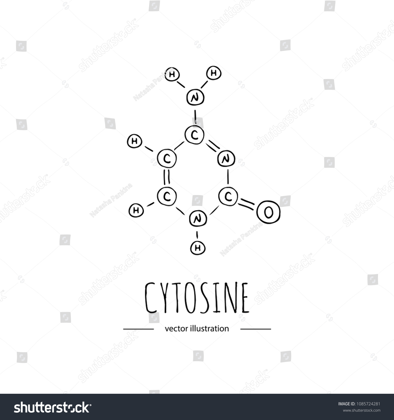 Hand Drawn Doodle Cytosine Chemical Formula Stock Vector (Royalty Free ...