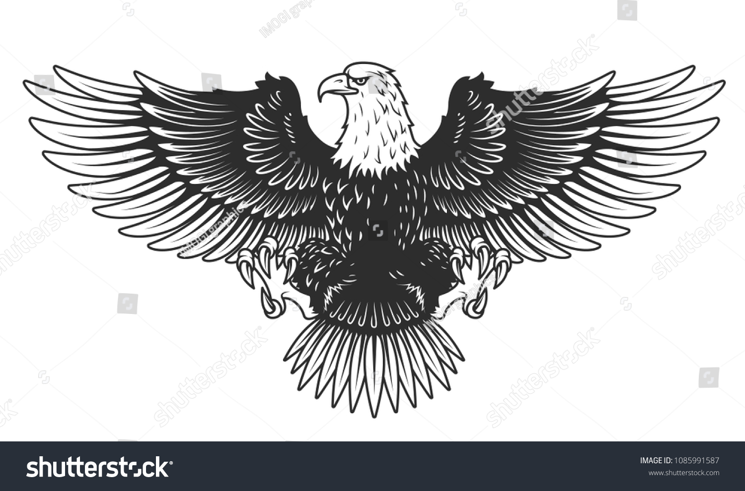 Орел с расправленными крыльями вектор