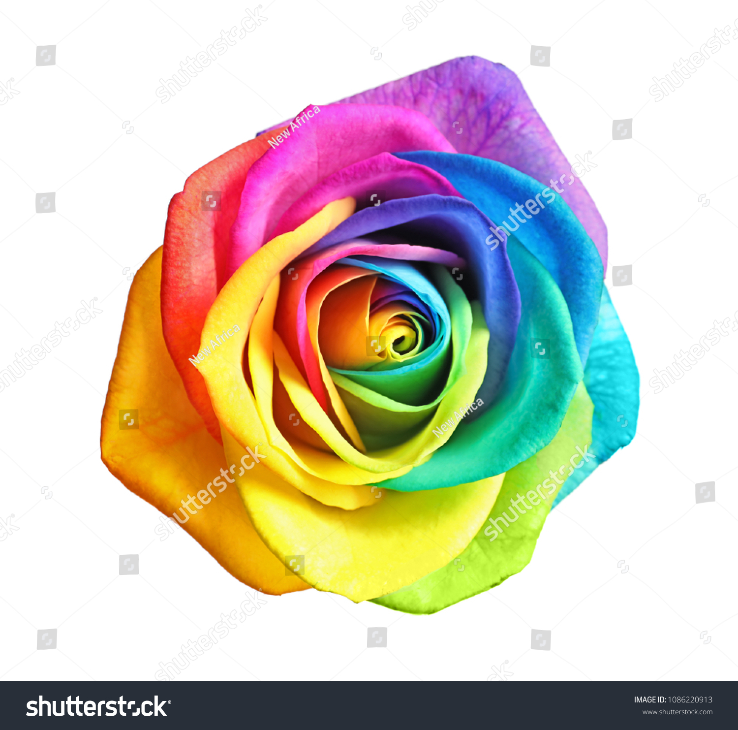Numero civico Qualsiasi Numero Disponibile Decorato a Mano nel Regno Unito Regno Unito Rainbow Decors Ltd Majestic Rose House con Numero civico Roses in Ceramica 