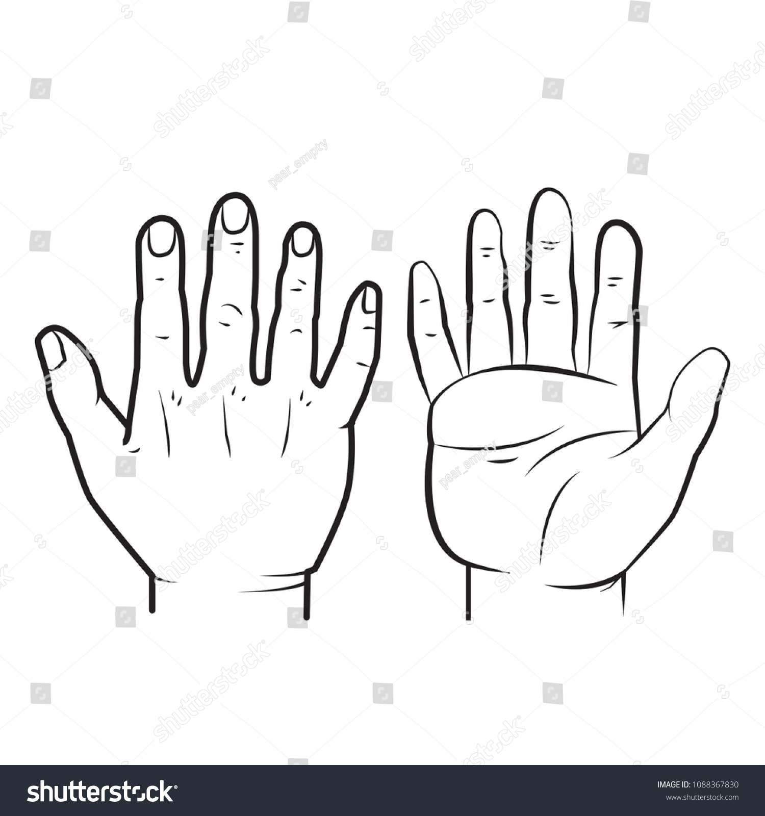 Human Hands Back Hand Palm Hand Stock Vector (Royalty Free) 1088367830 ...