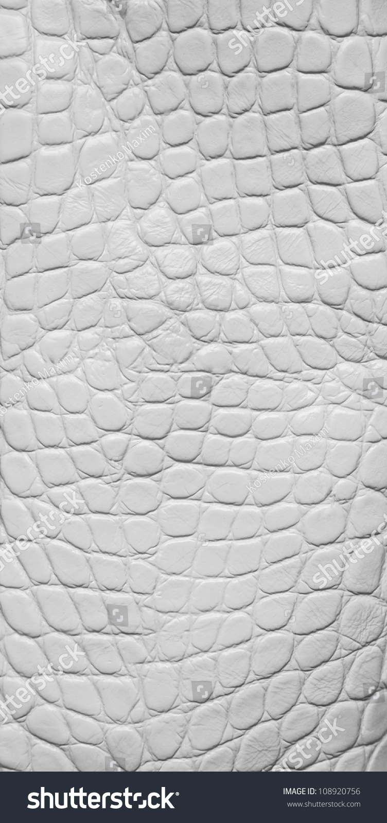 White Crocodile Leather Texture Macro Stock Photo 108920756 | Shutterstock