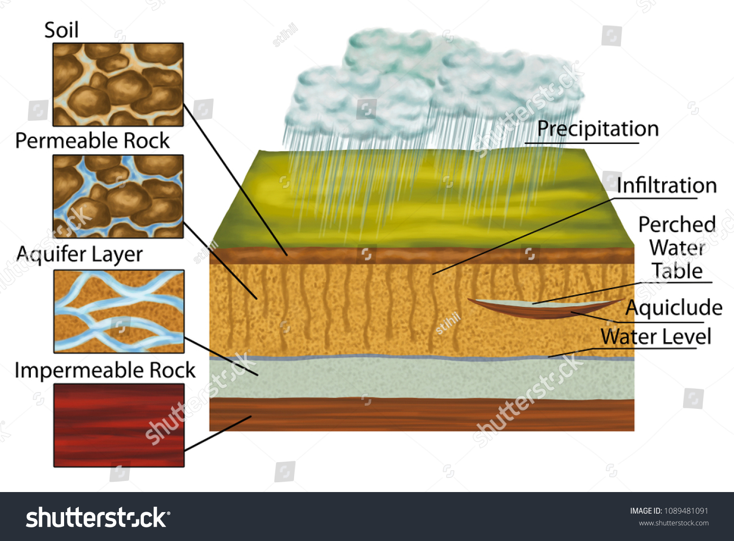 Groundwater Groundwater Follows Water Cycle Nature Stock Illustration ...