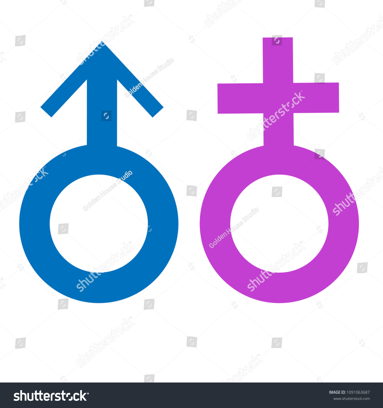 Male Female Sex Symbols Icons Designing Stock Vector Royalty Free