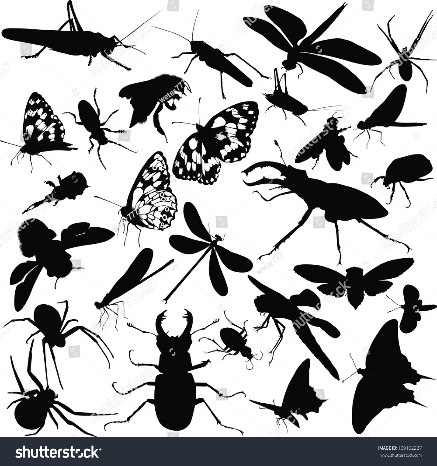 Set Insects Isolated On White Background Stock Vector (Royalty Free ...