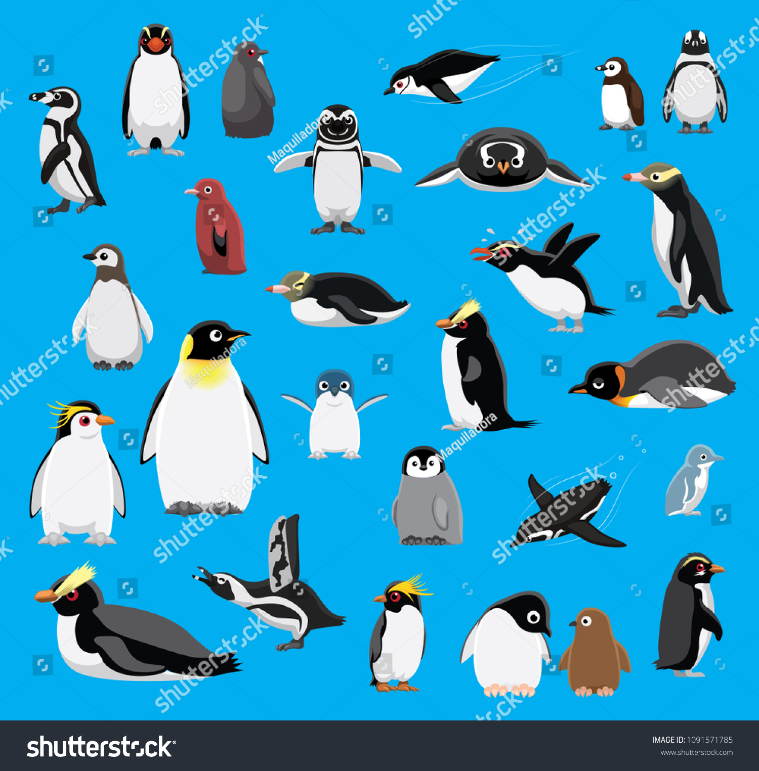 Various Penguin Cartoon Blue Background Vector Stock Vector (Royalty