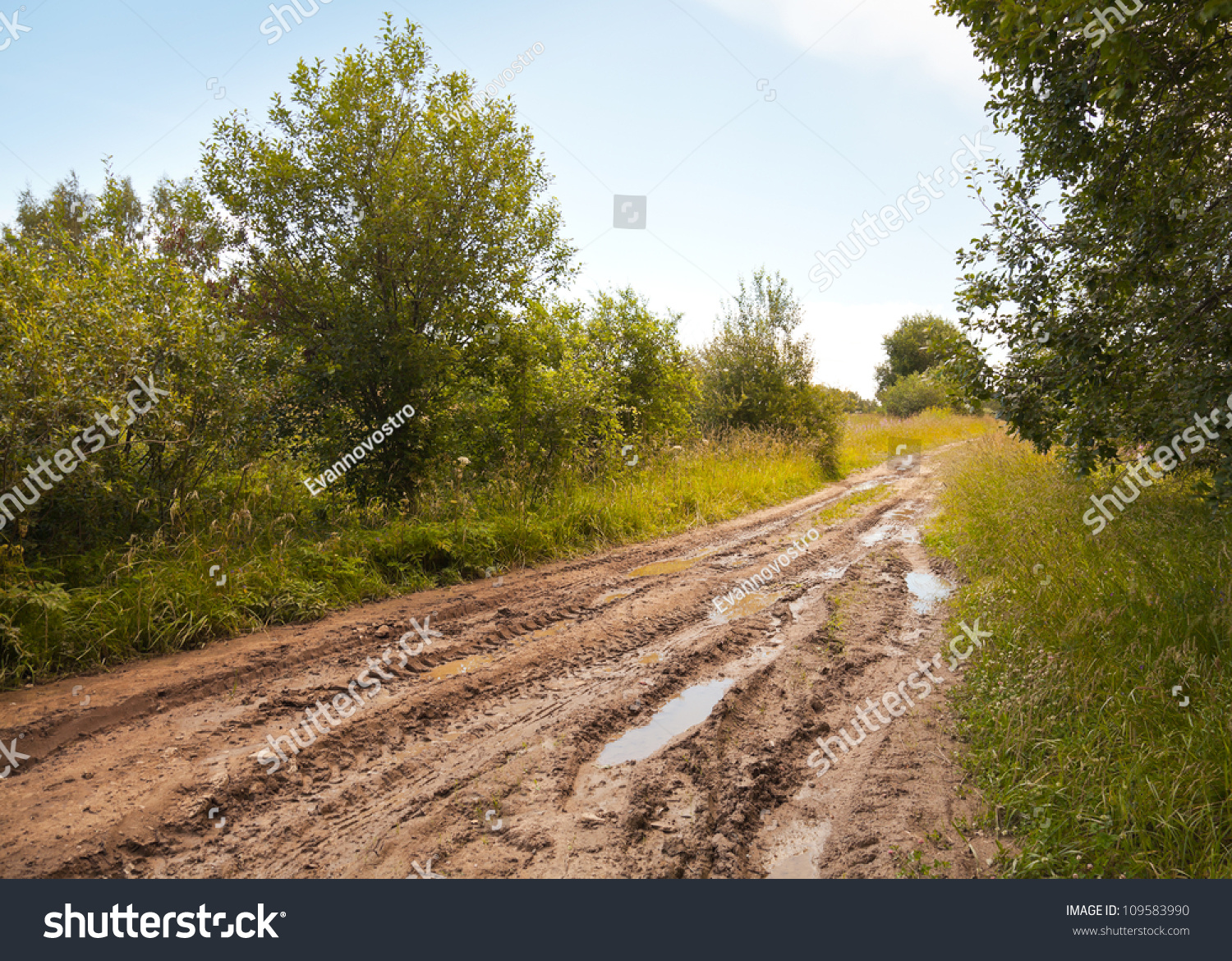 Деревенской дороги