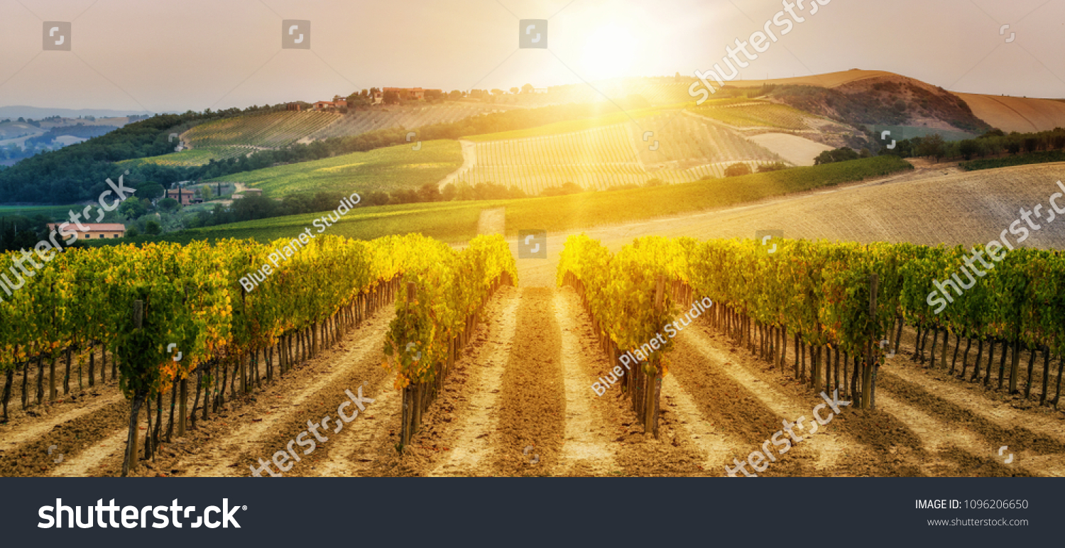 42,782 Wine country italy Images, Stock Photos & Vectors | Shutterstock