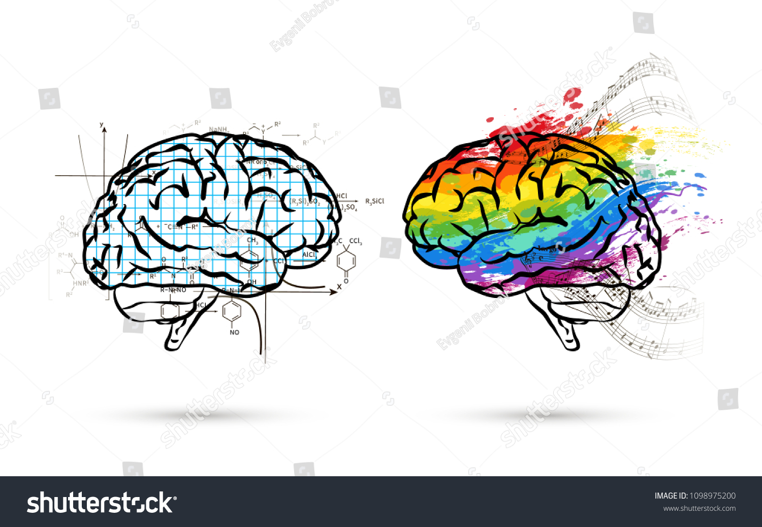 Мозг схема разноцветный