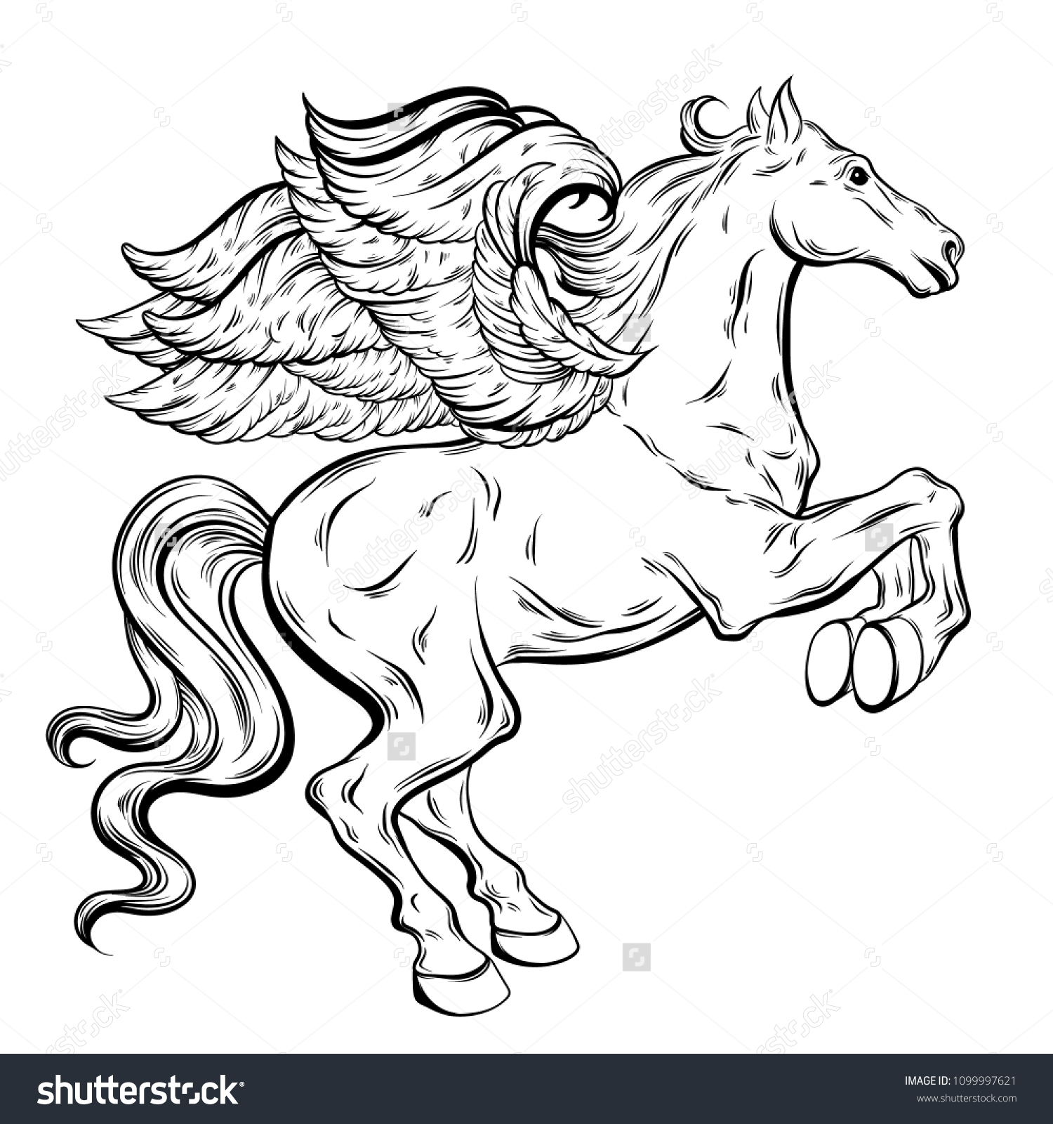 Vector Hand Drawn Illustration Pegasus Isolated Stock Vector (Royalty ...