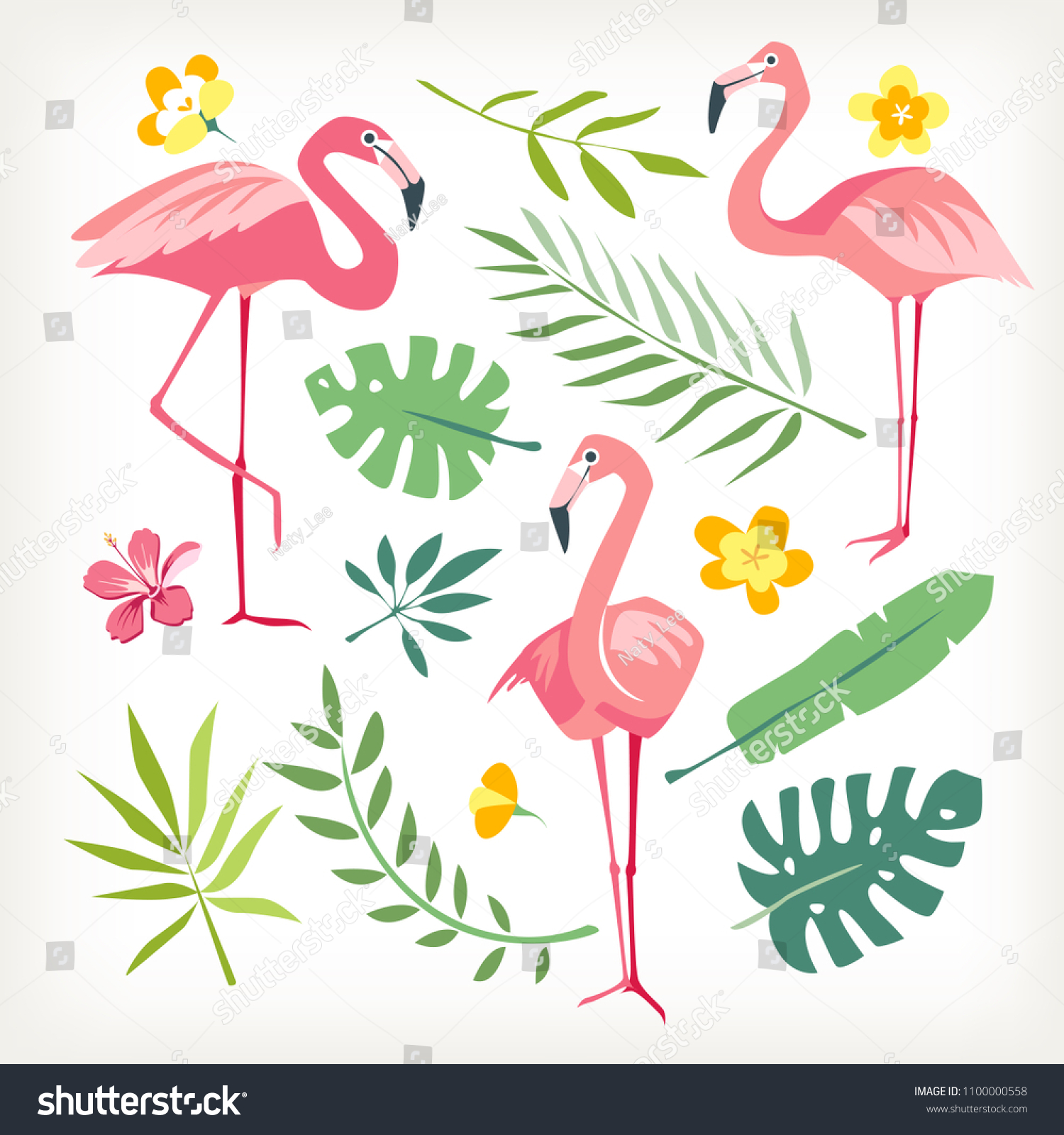 1 Tropicl Birds Background Images, Stock Photos & Vectors | Shutterstock