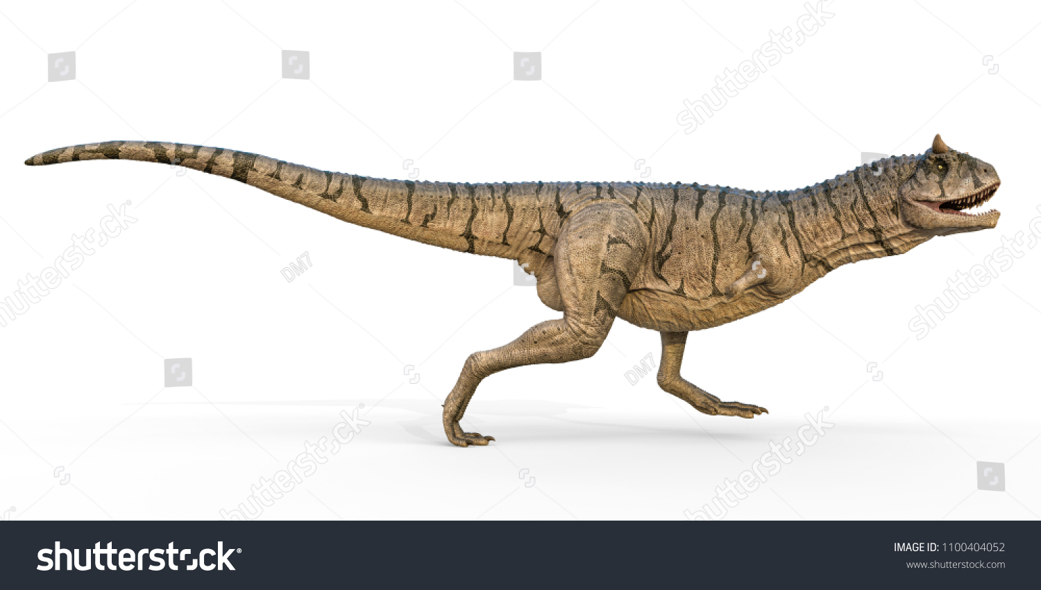 Carnotaurus White Background 3d Illustration Stock Illustration ...