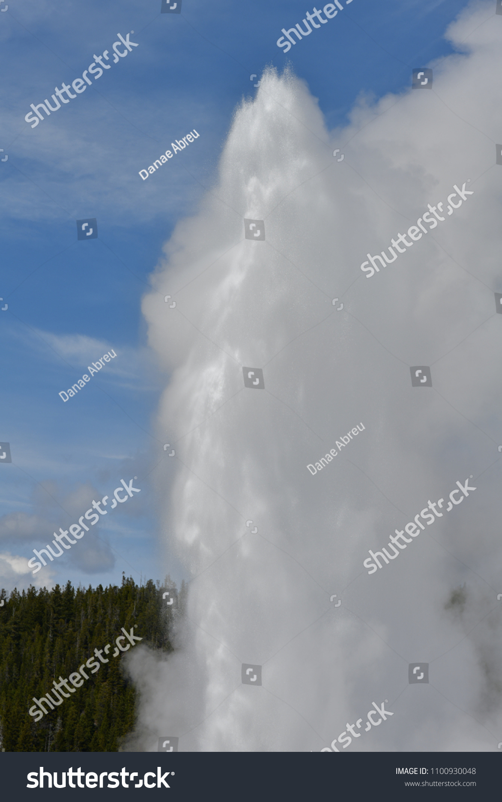 Old Faithful Erupting On Schedule Stock Photo 1100930048 Shutterstock