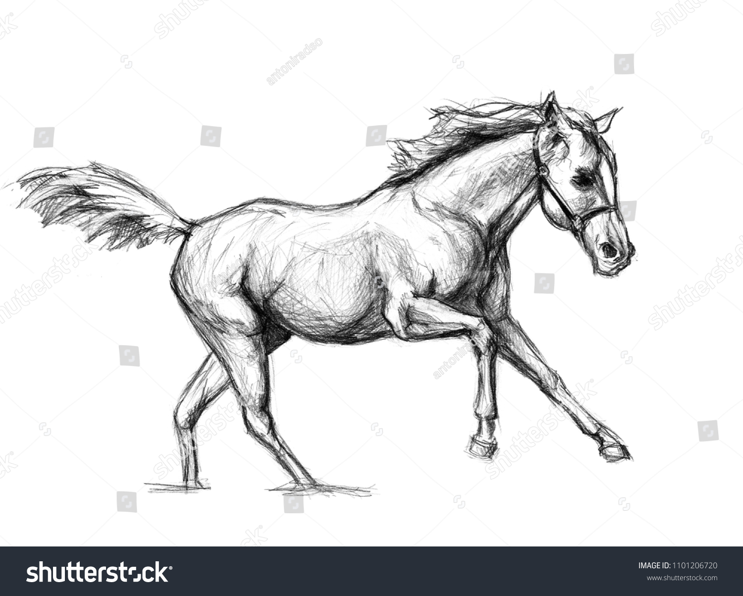 走る馬の絵 色 背景 のイラスト素材 Shutterstock