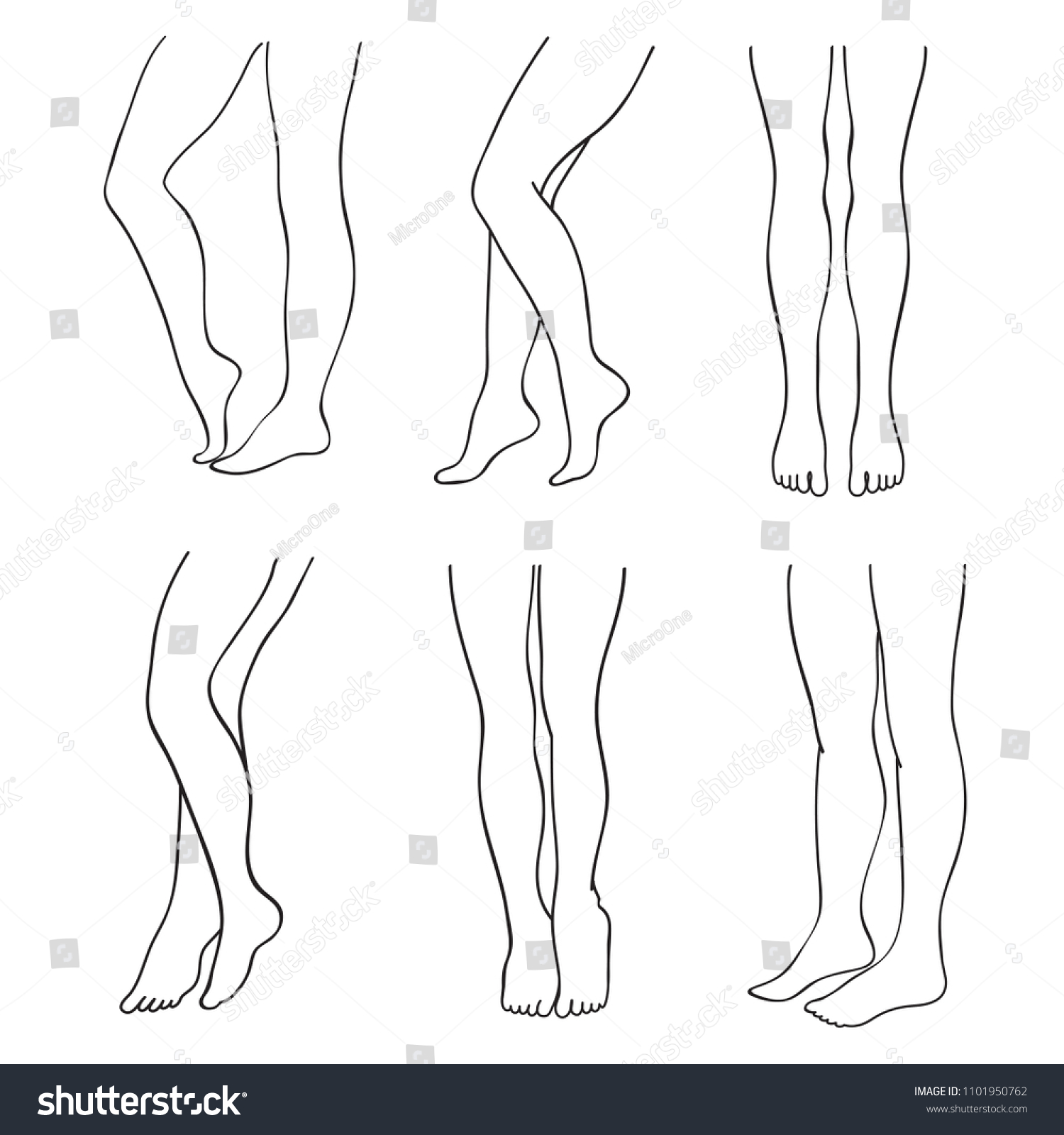 Outline Attractive Female Legs Set Lady Stock Illustration 1101950762 