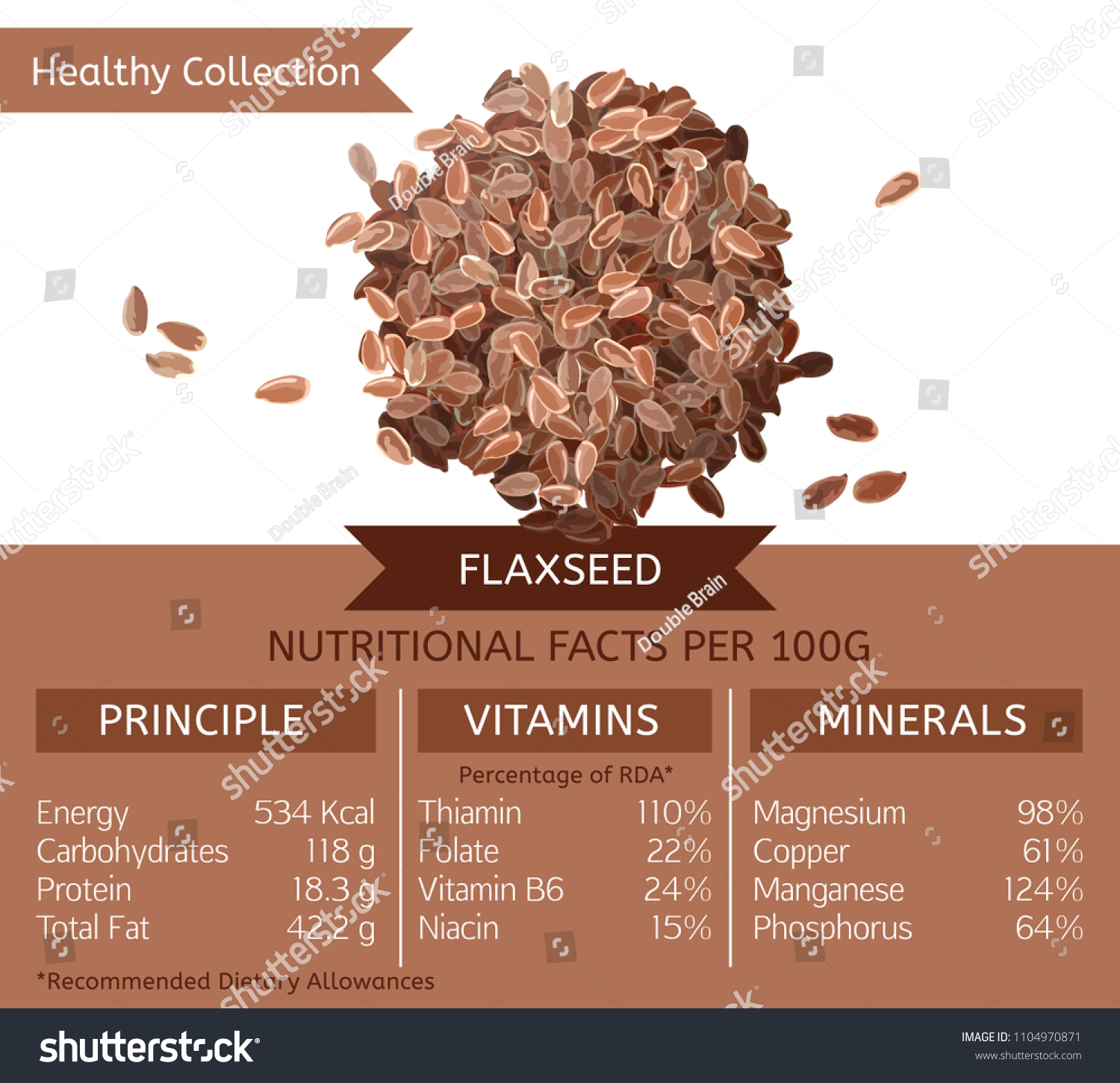 Flaxseed Health Benefits Vector Illustration Useful Stock Vector ...