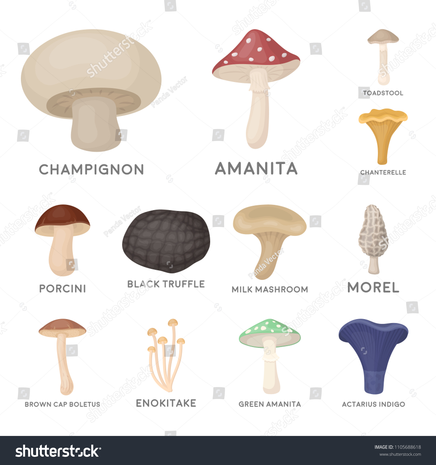 Poisonous Edible Mushroom Cartoon Icons Set Stock Vector (Royalty Free ...