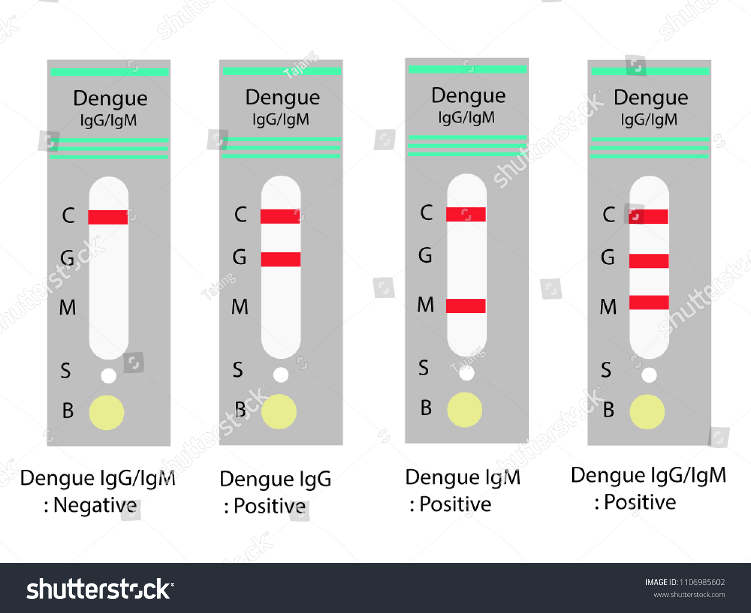 57 Afbeeldingen Voor Strip Dengue Afbeeldingen Stockfoto s En 57-afbeeldingen-voor-strip-dengue-afbeeldingen-stockfoto-s-en
