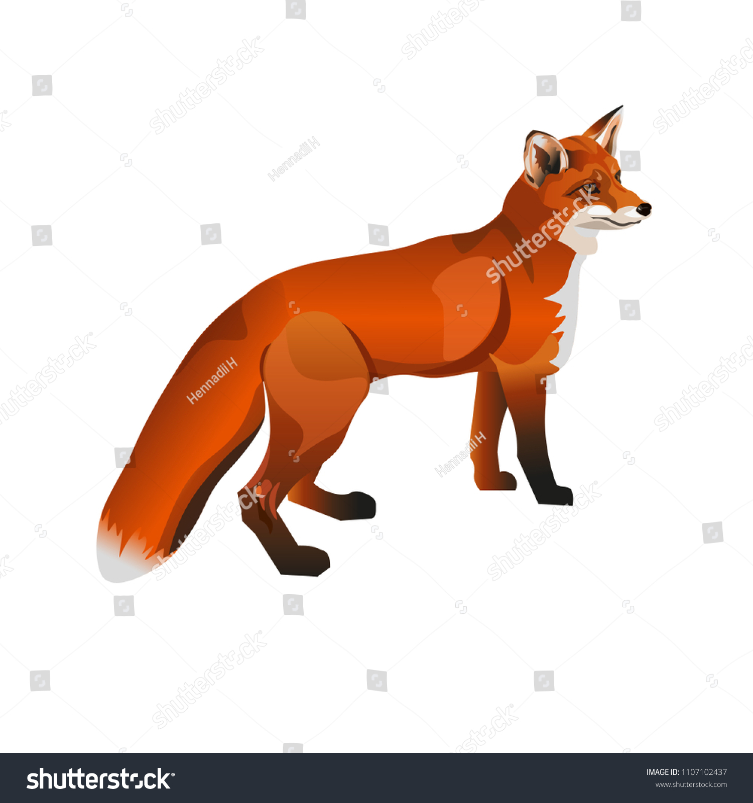 Standing Red Fox Side View Vector Stock Vector (Royalty Free