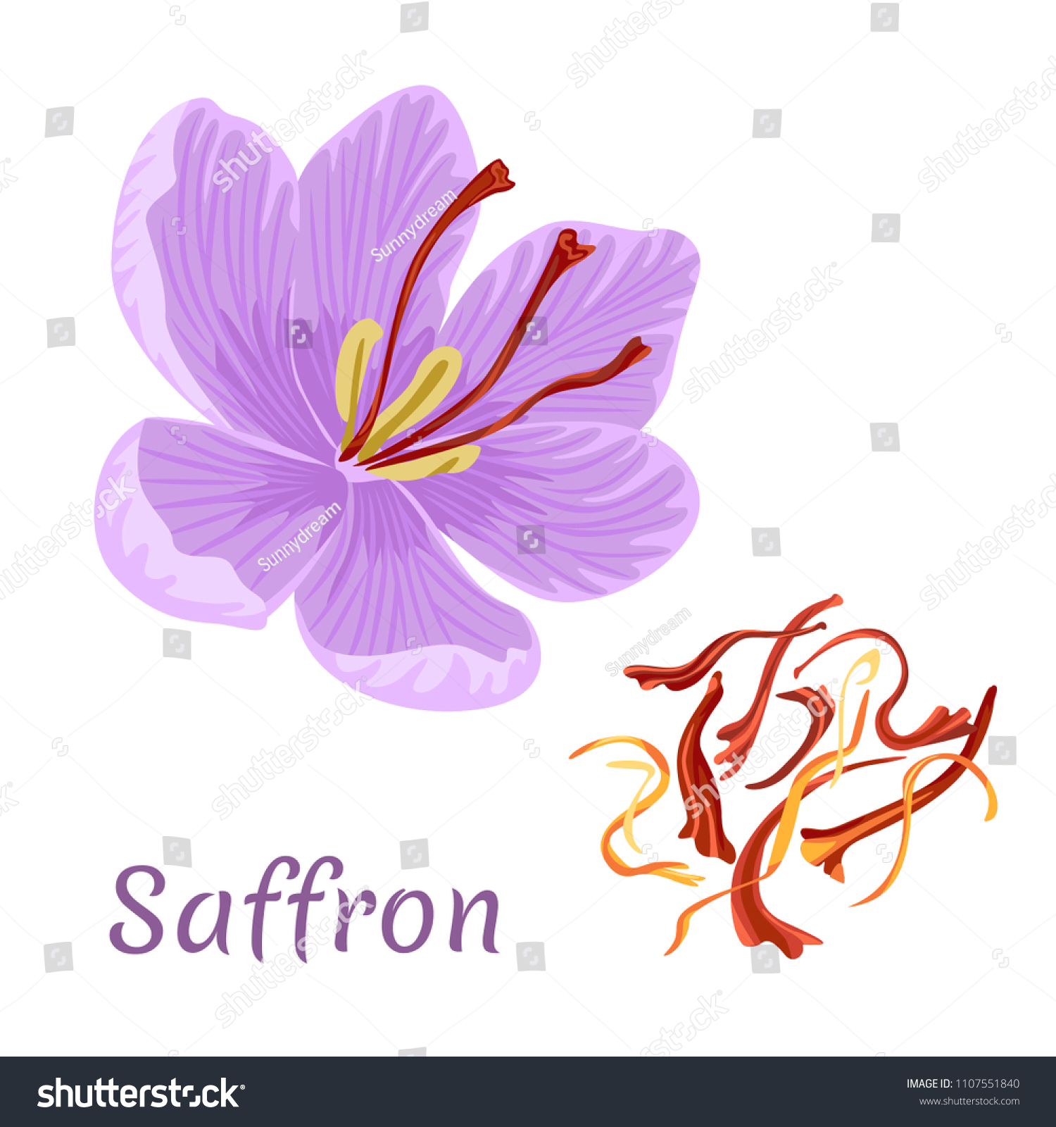 Крокус цветок логотип