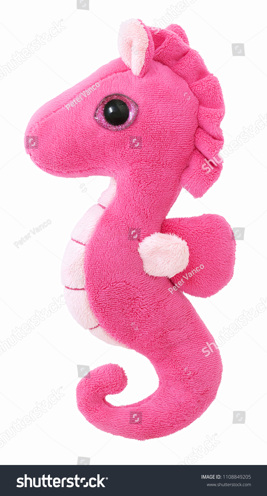 pink seahorse