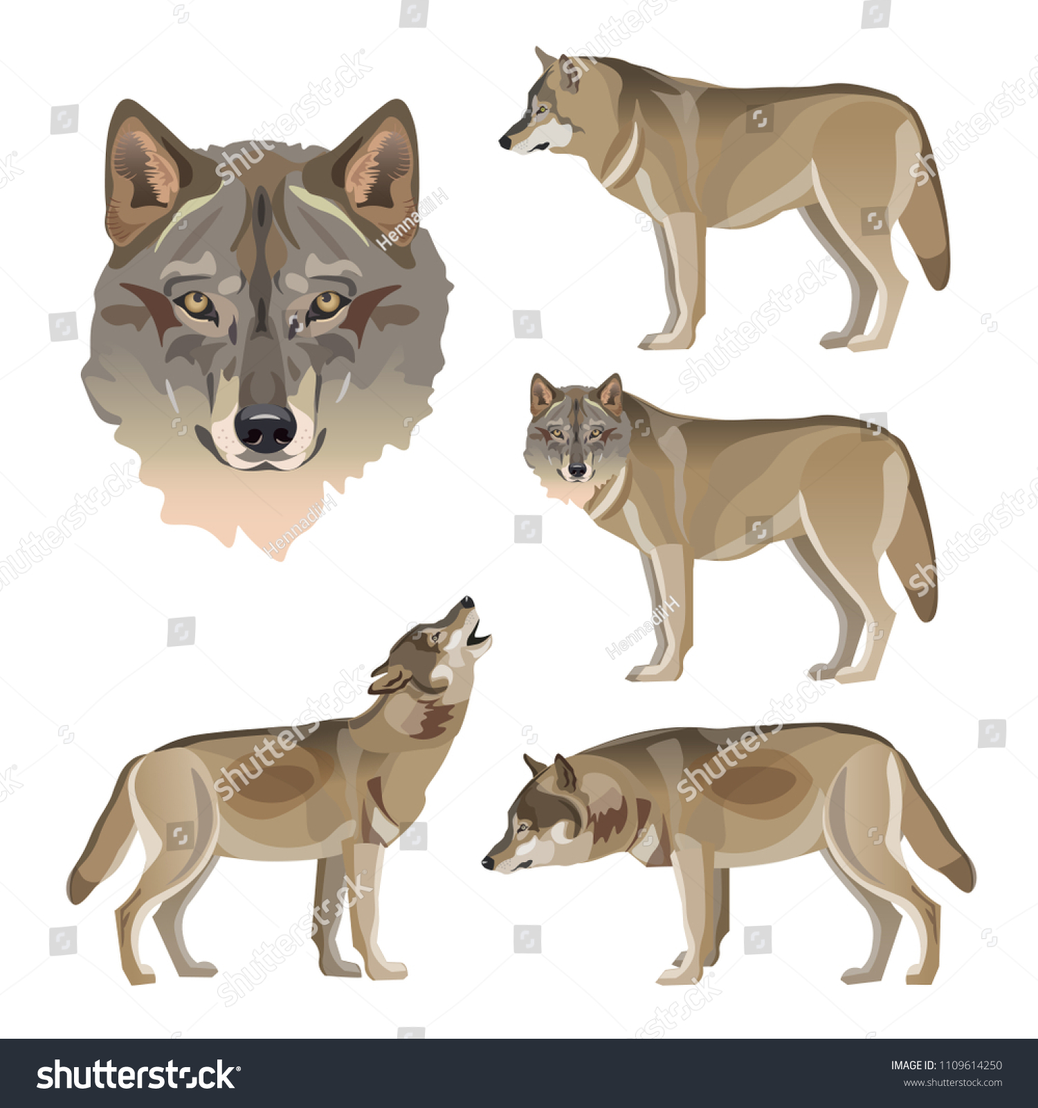 Карточки для детского сада волк