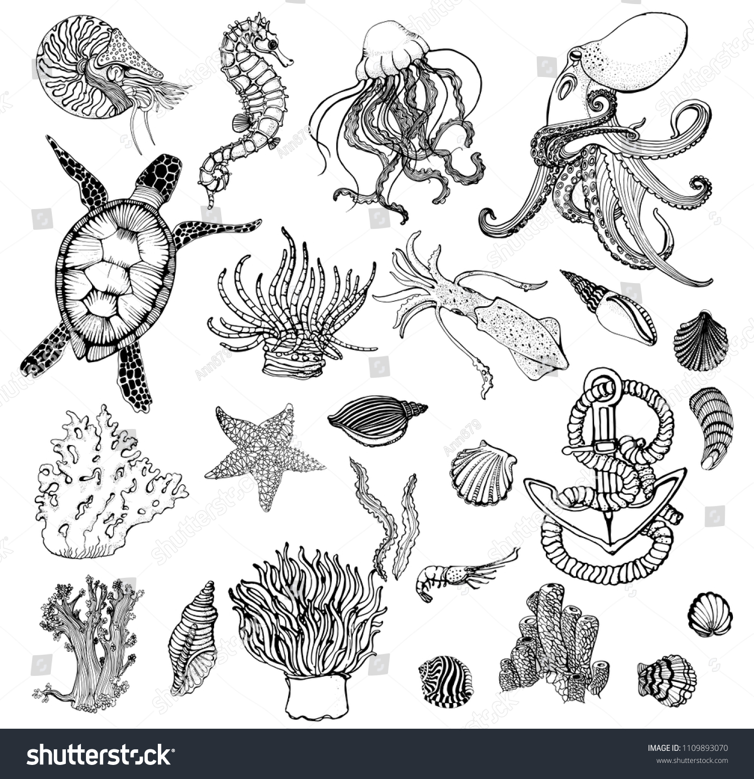 Marine Set Vector Illustration Hand Drawing Stock Vector (Royalty Free ...