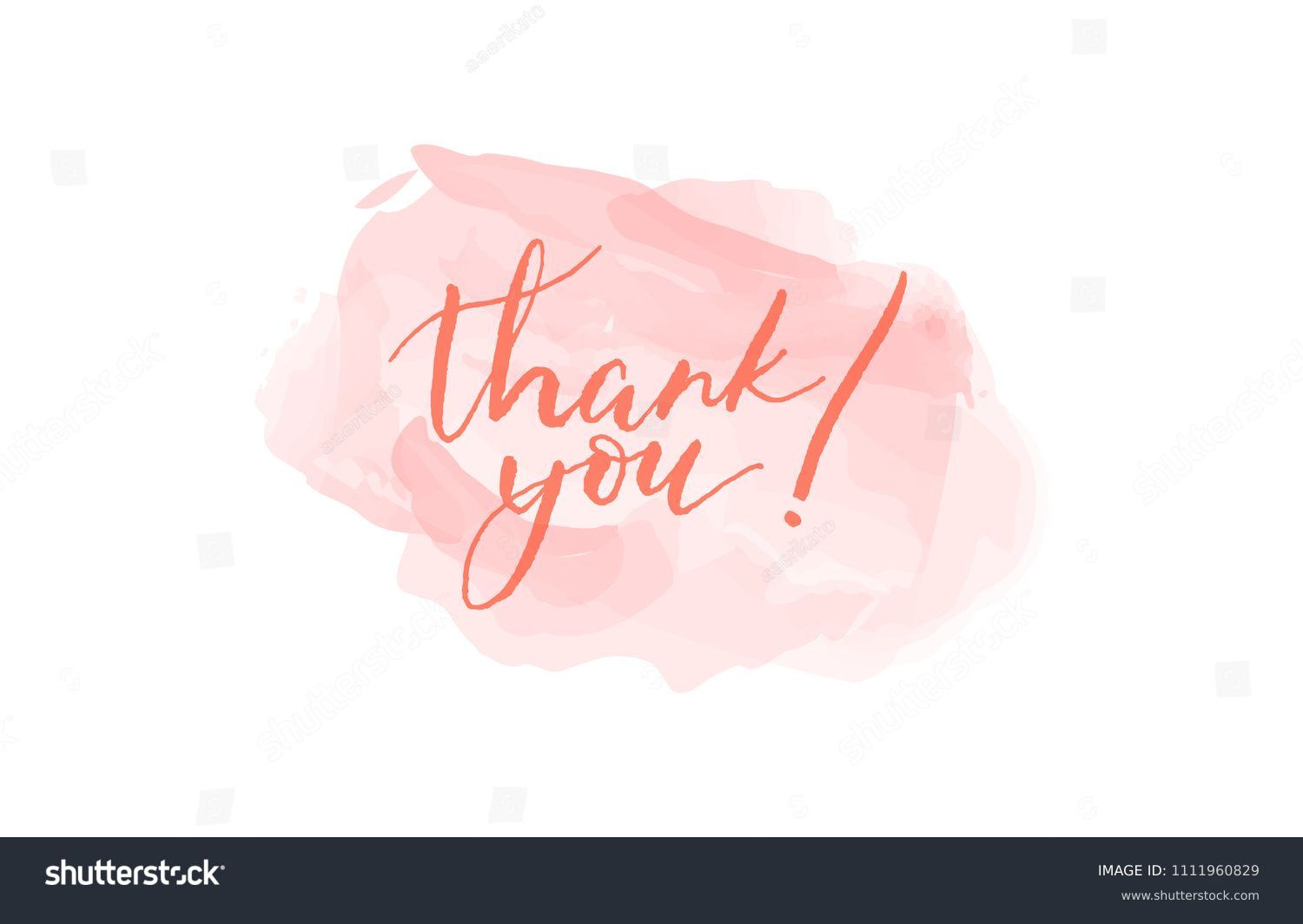 Thank You Calligraphy Lettering Vector Illustration Stock Vector ...