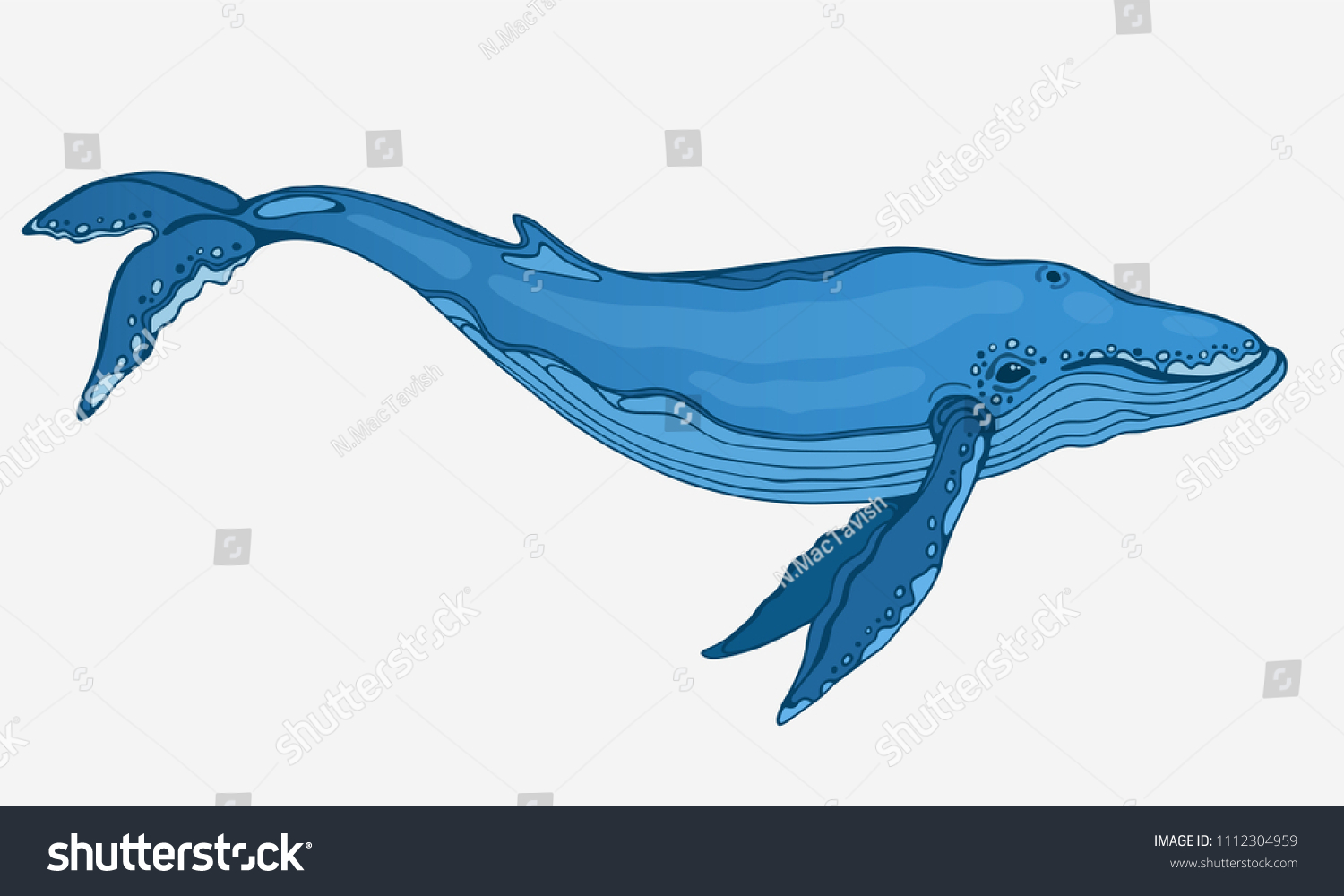 Vector Hand Drawn Blue Whale Stock Vector (Royalty Free) 1112304959 ...