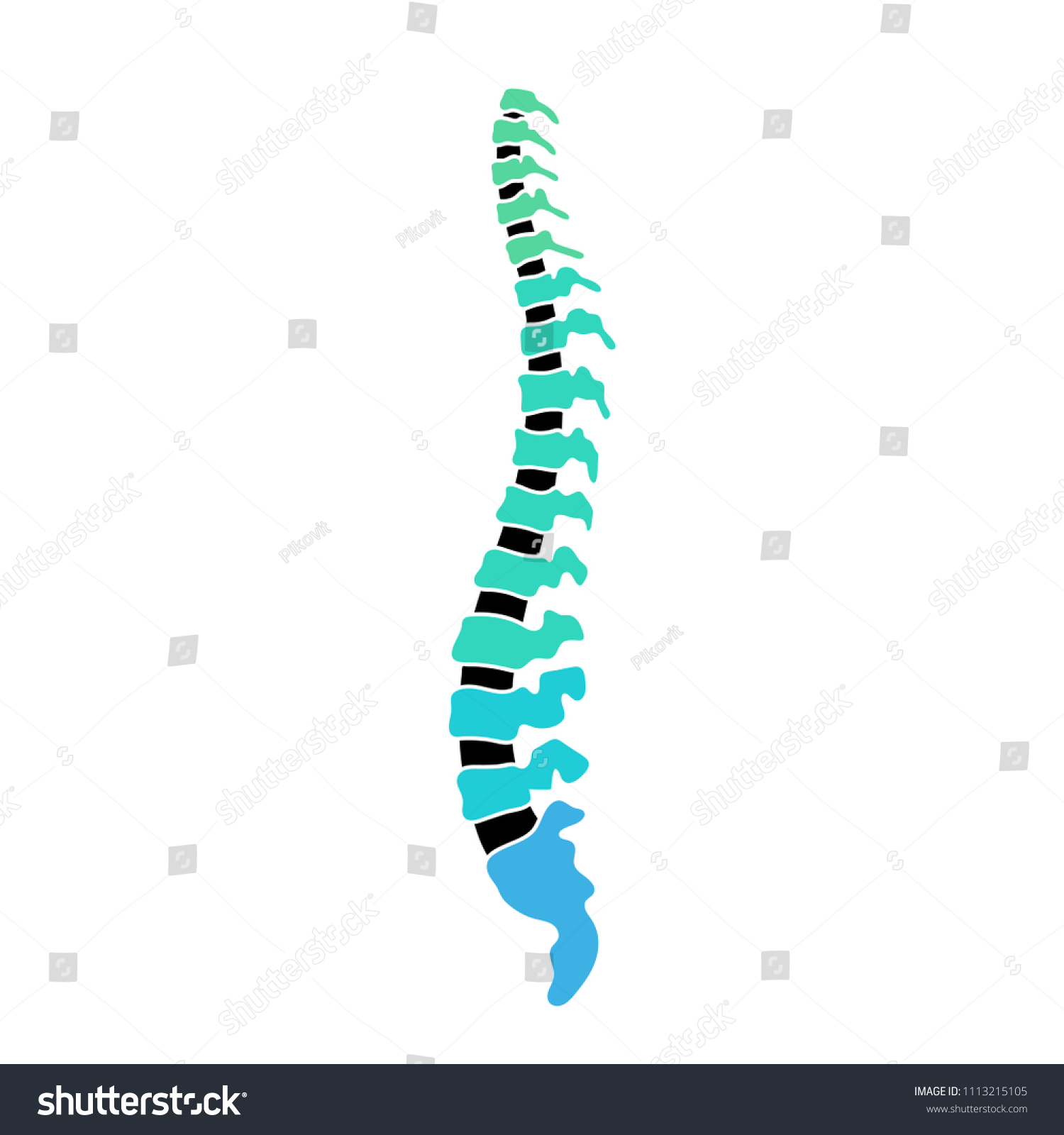 Vector Human Spine Structure Isolated Silhouette Stock Vector (Royalty ...