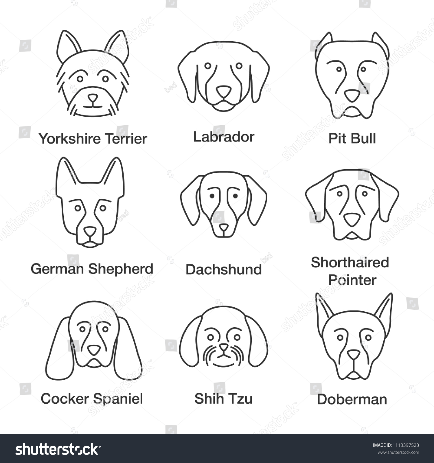 Dogs Breeds Linear Icons Set Thin Stock Illustration 1113397523 ...