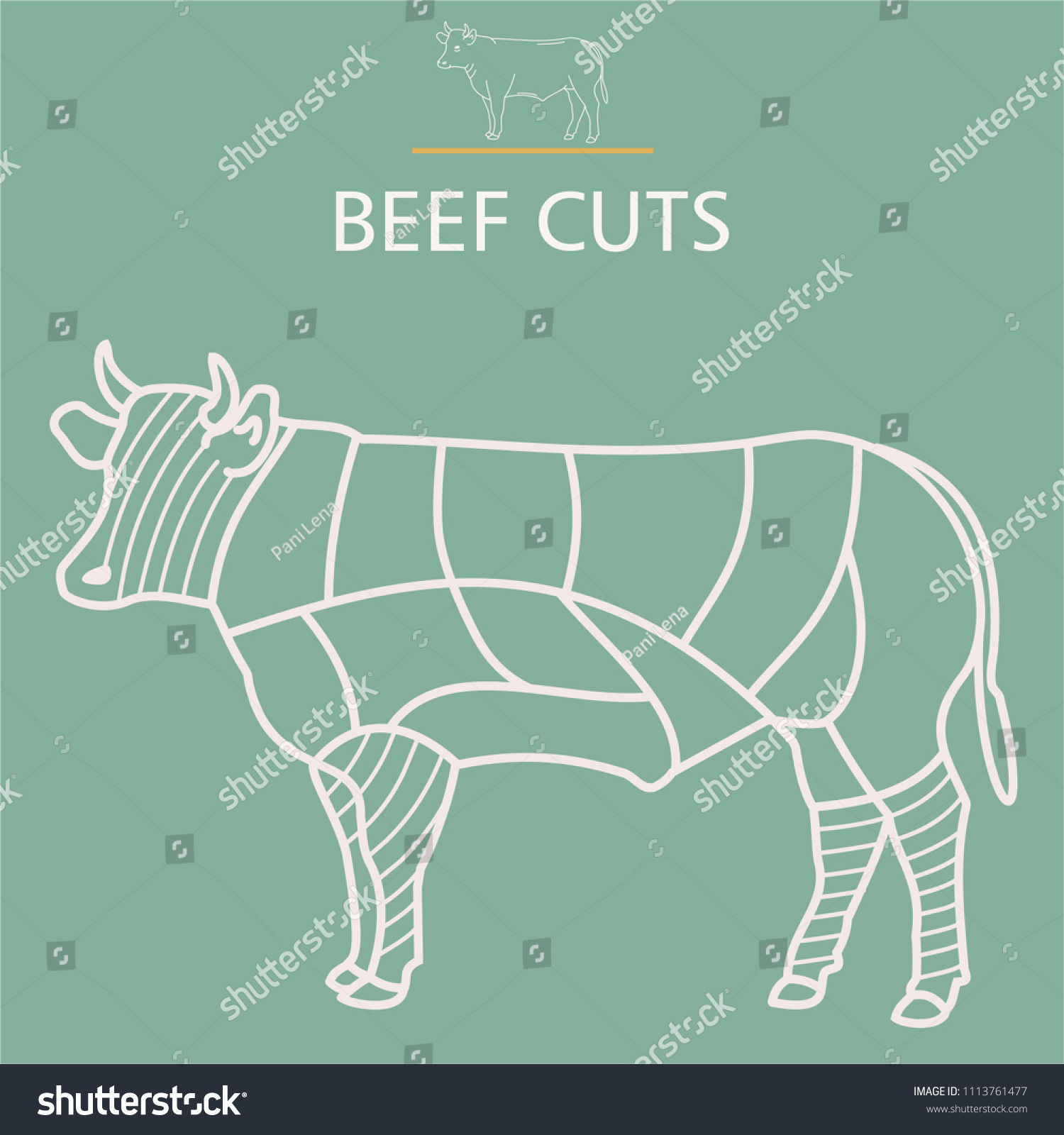 Butchers Diagram Beef Cuts Stock Vector (Royalty Free) 1113761477