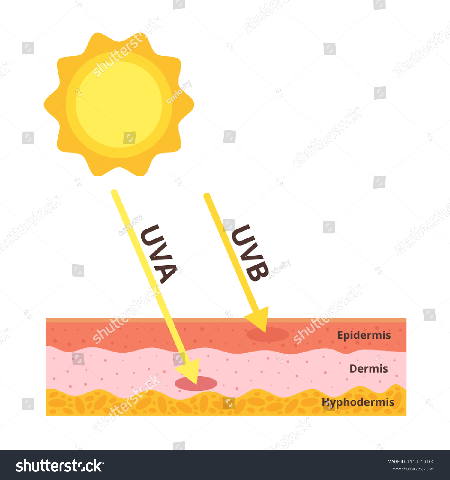 Vector Cartoon Style Illustration Uvb Uva Stock Vector (Royalty Free ...