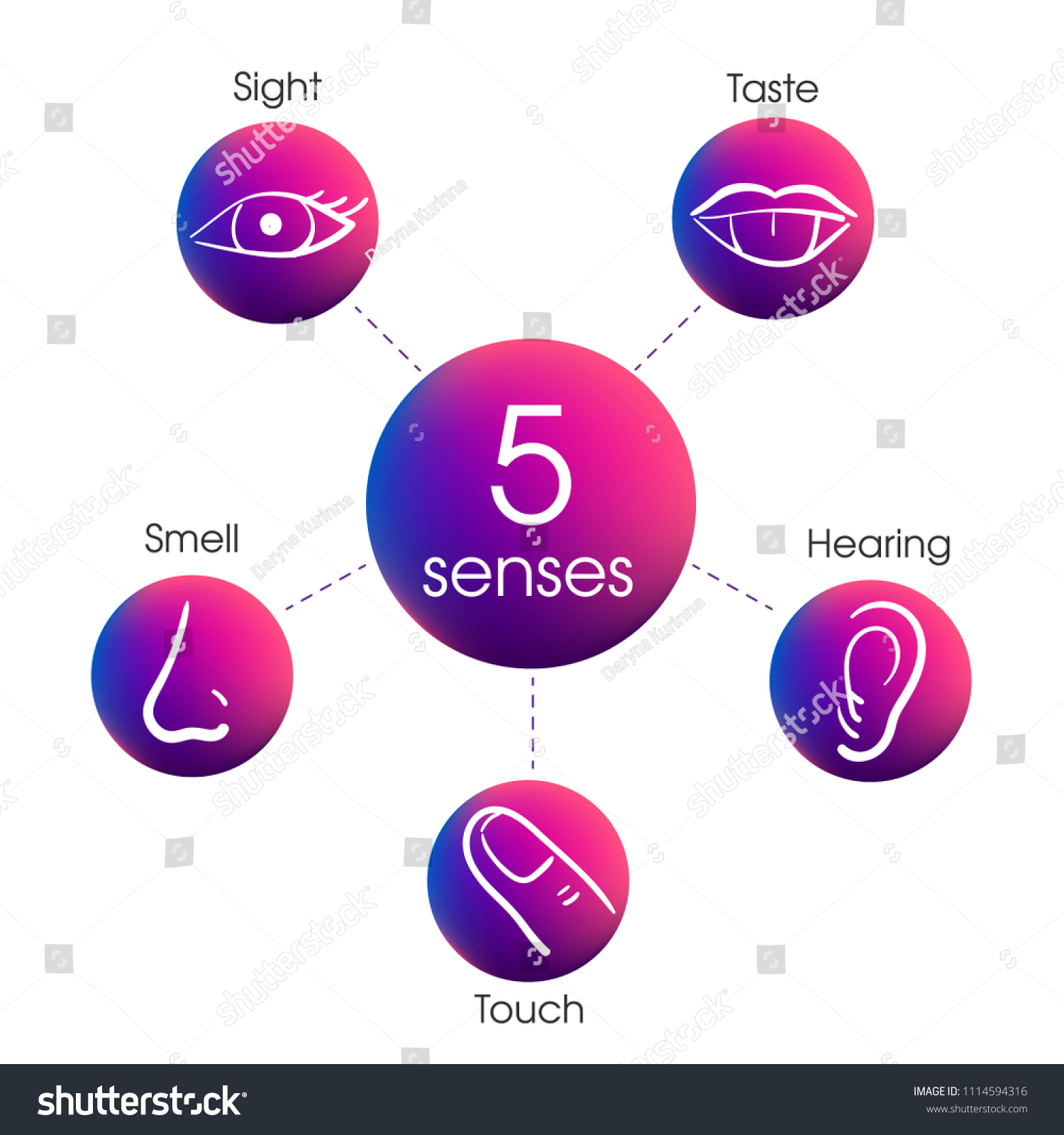 5 Human Senses Set Gradient Icons Stock Vector (Royalty Free ...