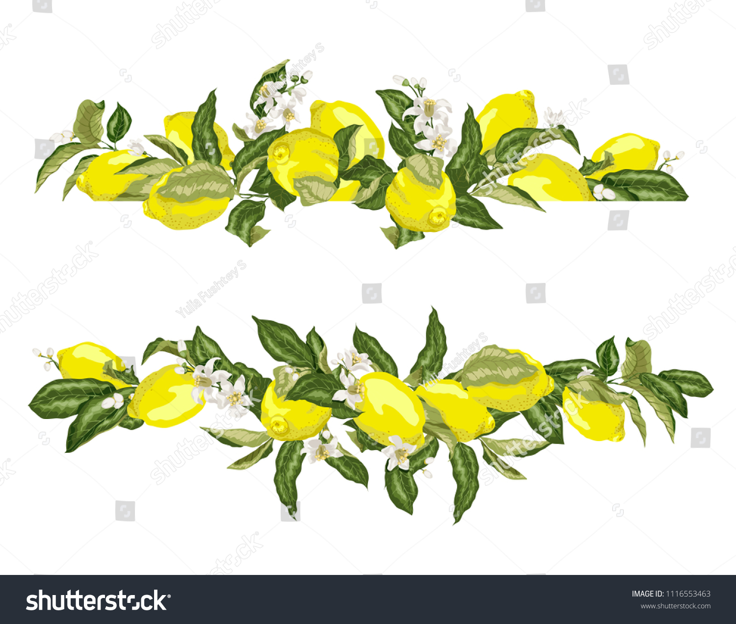 Lime Template Frame Border Wth Citrus Stock Vector (Royalty Free ...