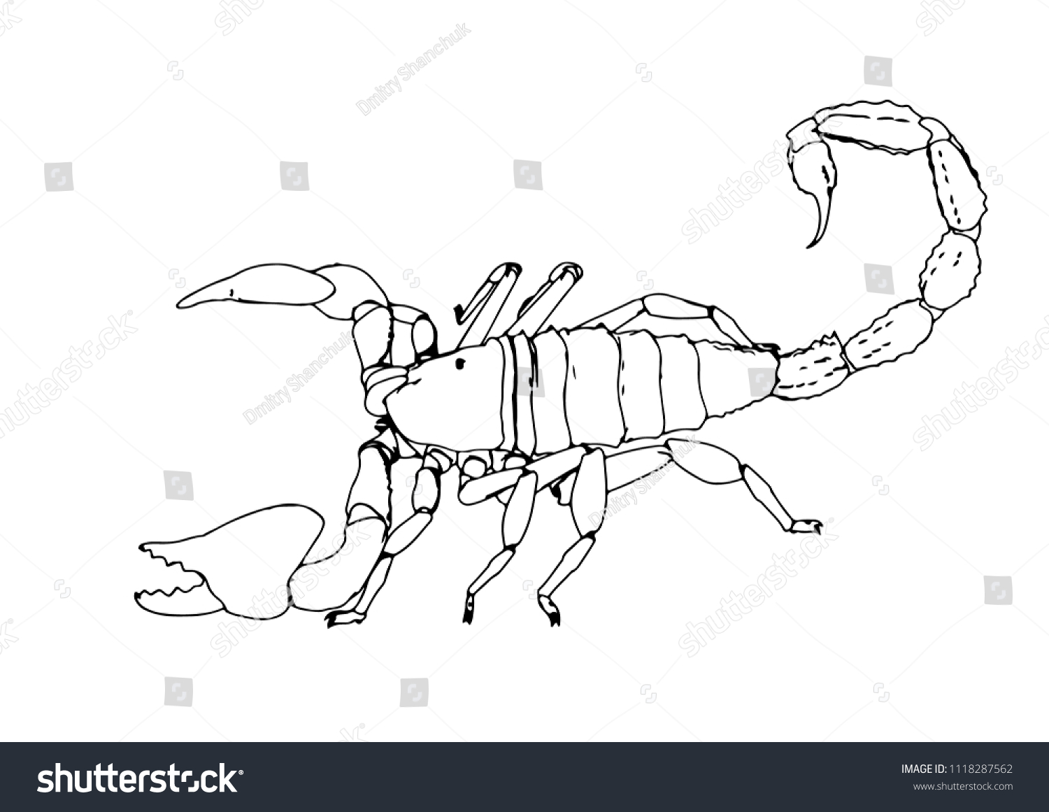 Scorpion Vector Outline Stock Vector (Royalty Free) 1118287562 ...