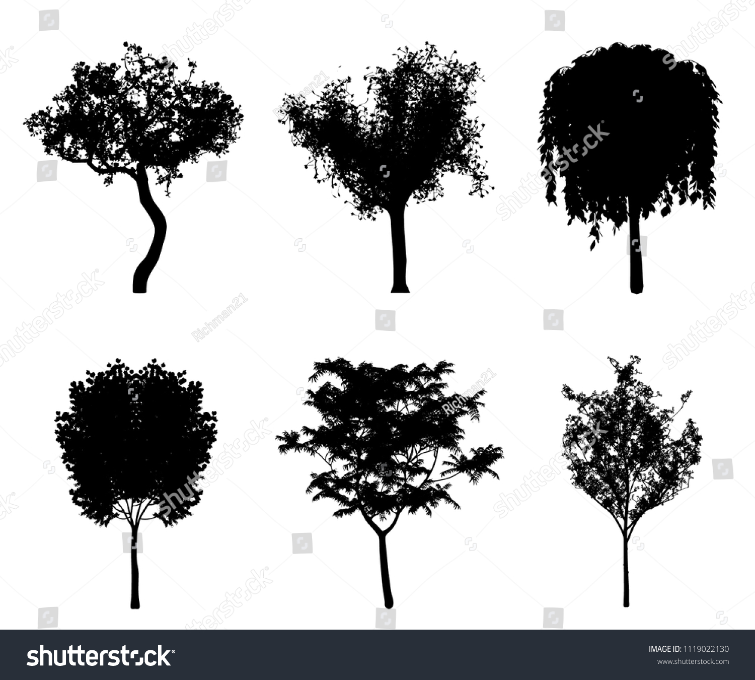 Silhouettes Trees Background Architectural Projects Vector Stock Vector ...