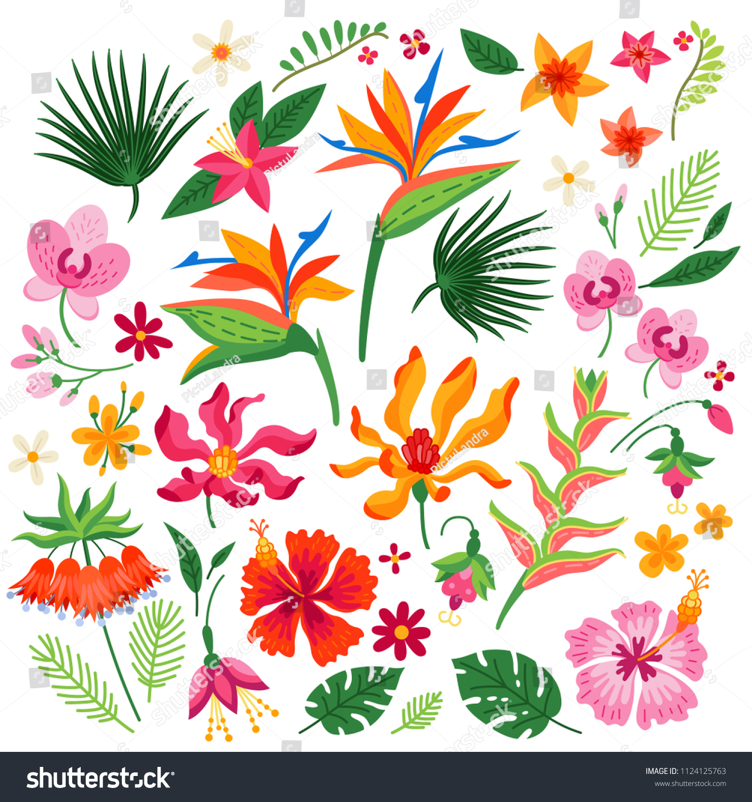 Set Tropical Flowers Vector Cartoon Rainforest Stock Vector (Royalty ...