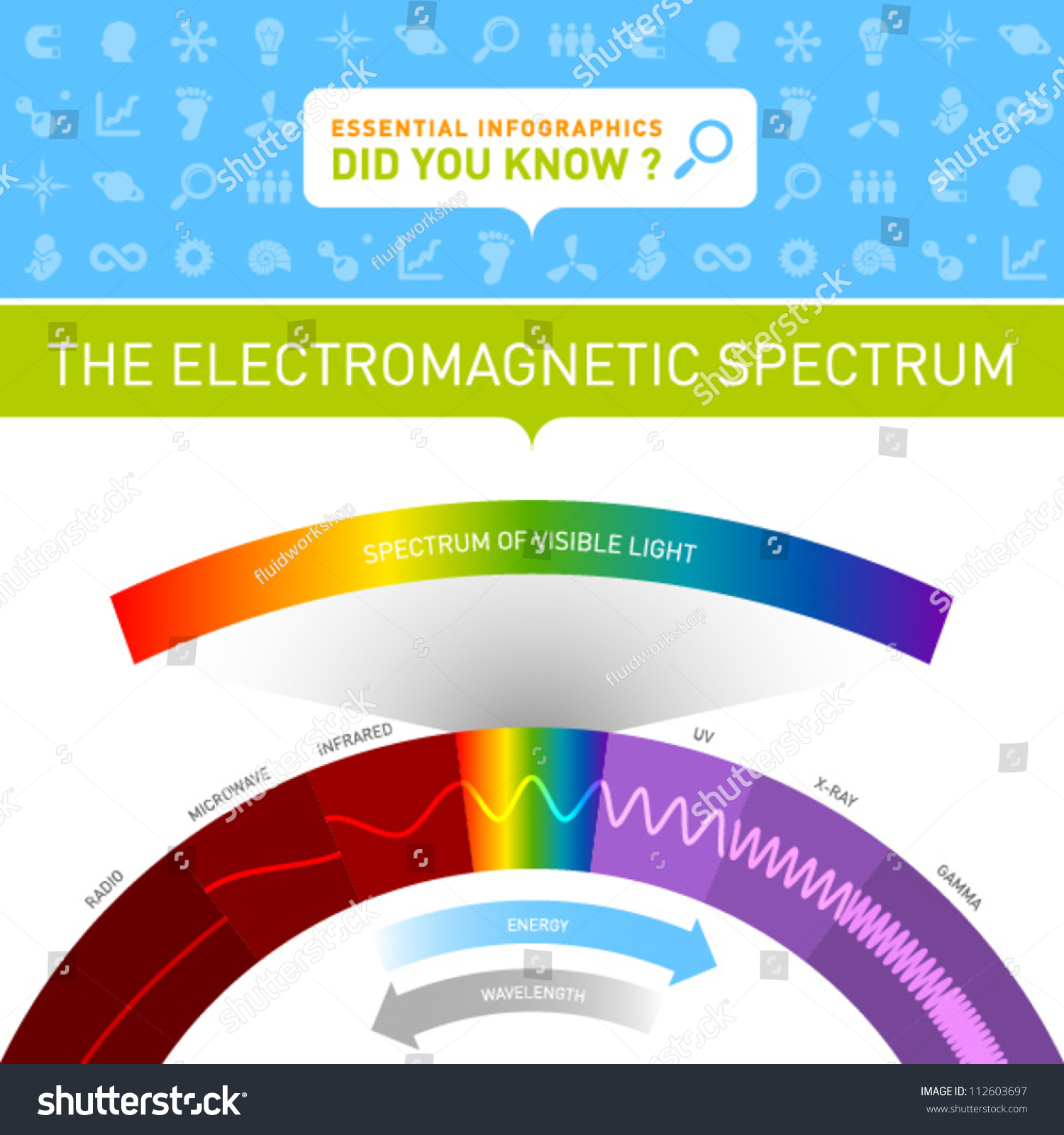 Vector Infographic Electromagnetic Spectrum Stock Vector (Royalty Free ...