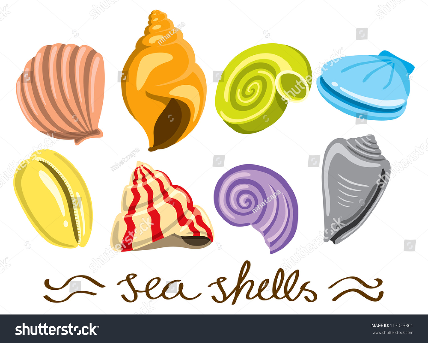 Set Colorful Sea Shells Stok Vektör (Telifsiz) 113023861 Shutterstock.
