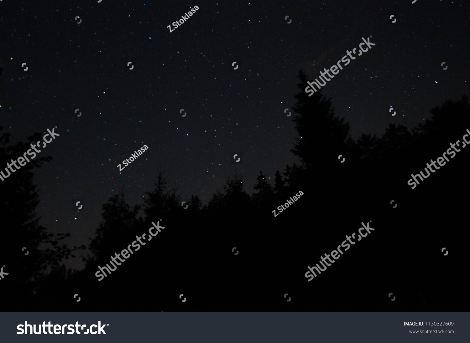 Night Sky Silhouettes Trees Stock Photo 1130327609 | Shutterstock