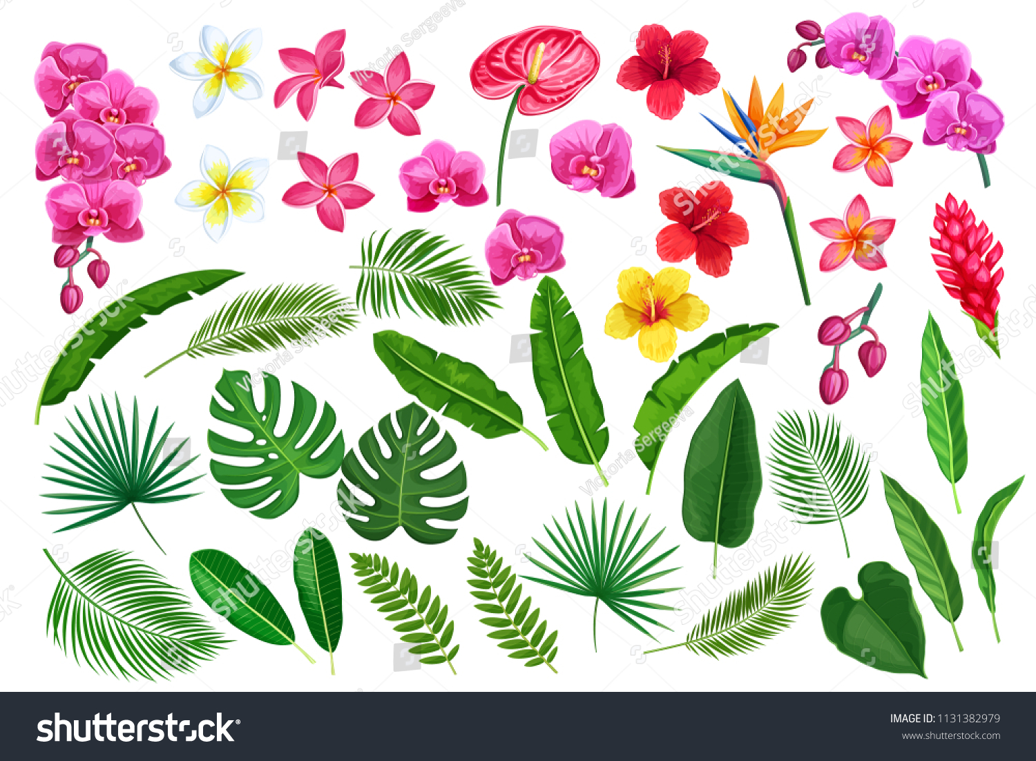 Vector Set Tropical Leaves Flowers Jungle Stock Vector (Royalty Free ...