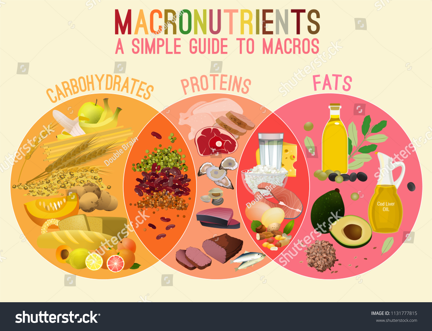 Main Groups Macronutrients Carbohydrates Fats Stock Vector (Royalty Free) 1131777815 | Shutterstock