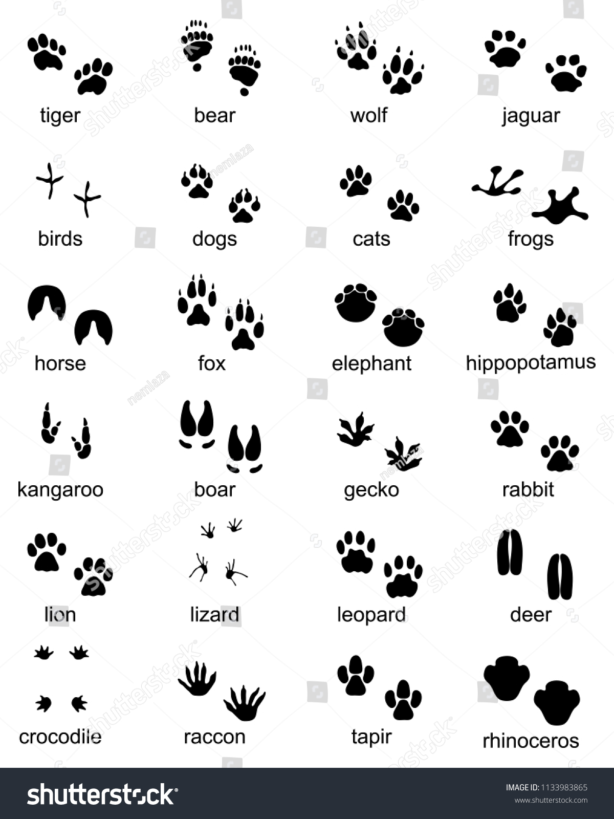 Set Footprints Wild Animals Illustration Black Stock Vector (Royalty ...