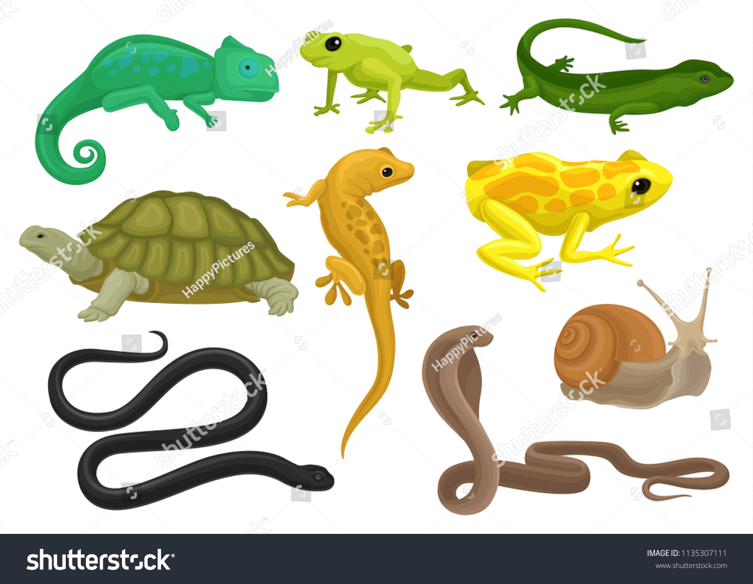 4,017 Snail Turtle Images, Stock Photos & Vectors | Shutterstock