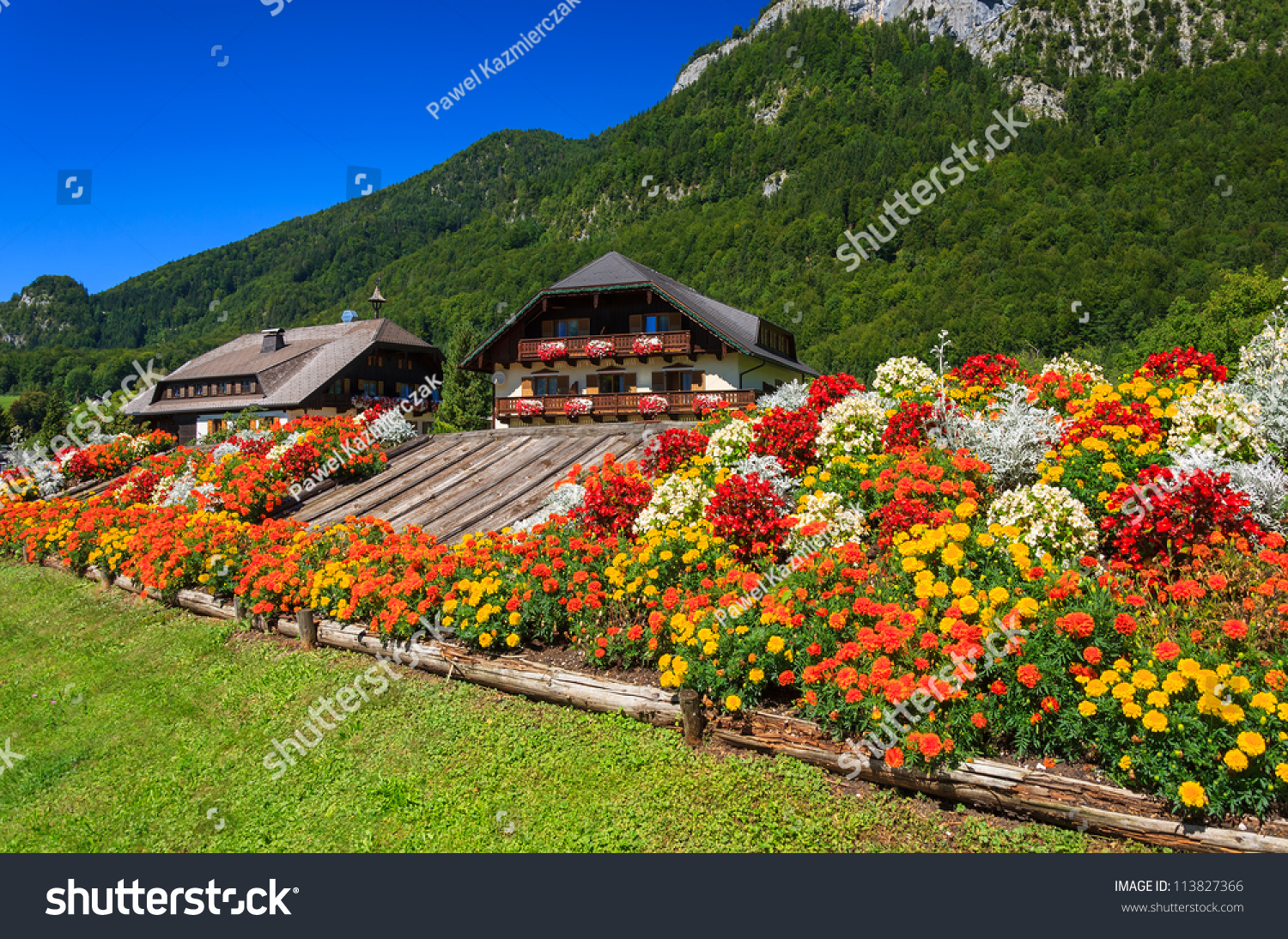 Растительность Австрии