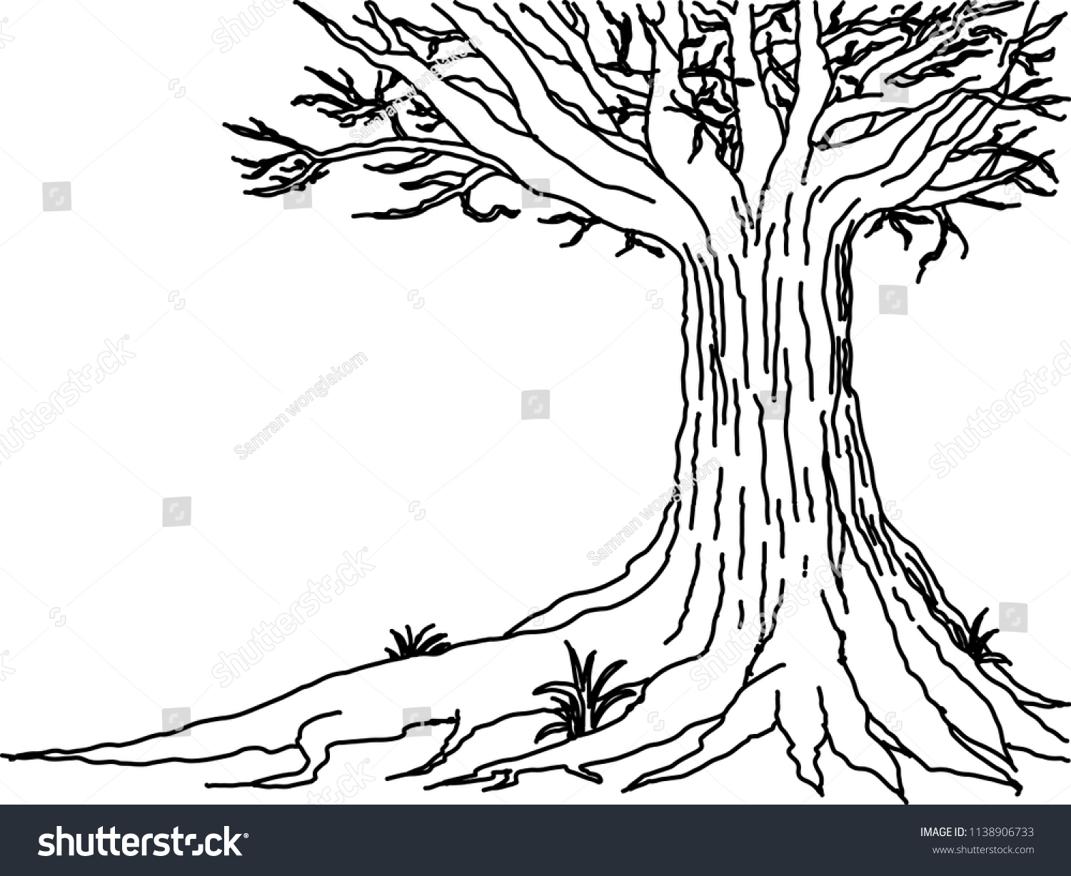 Black White Tree Line Art Stock Vector (Royalty Free) 1138906733 ...