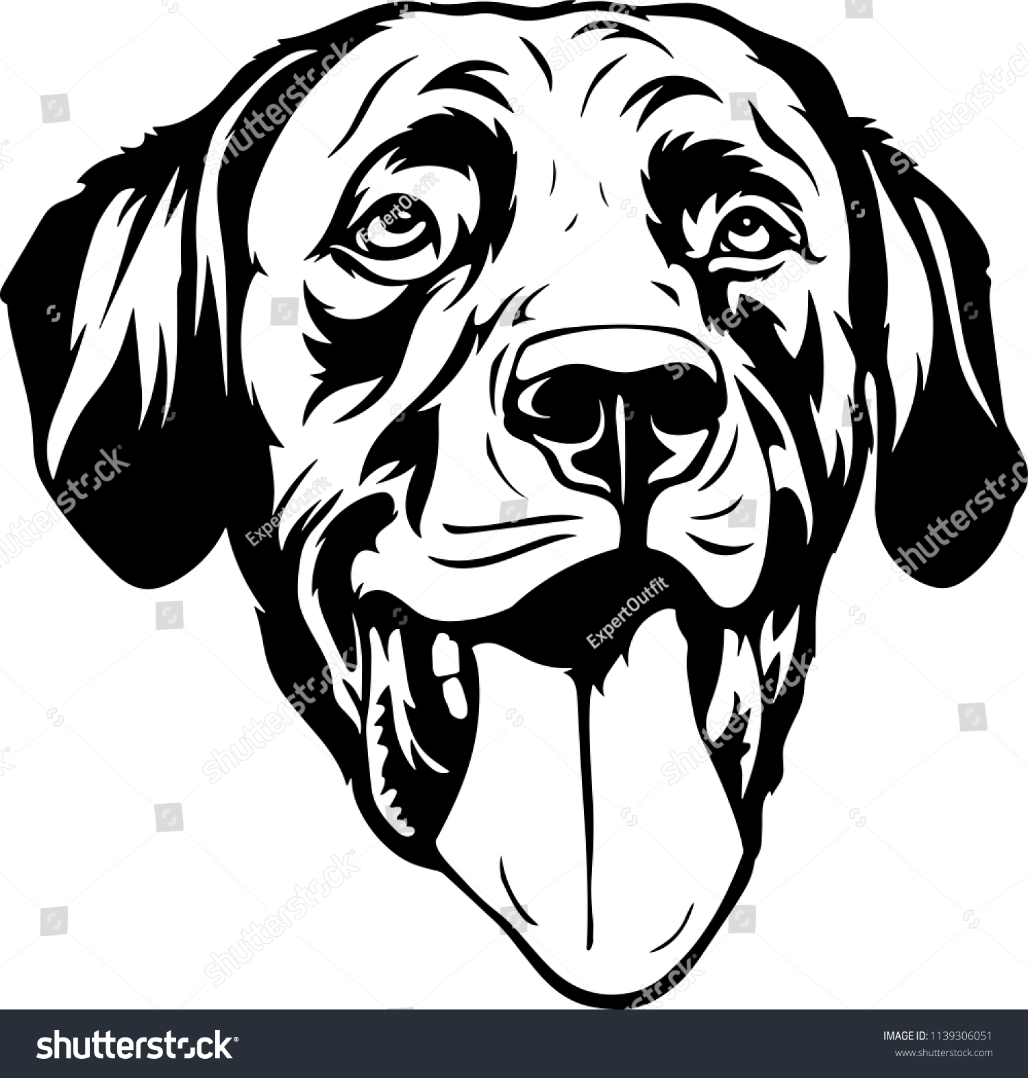 Labrador Retriever Lab Dog Breed Face Stock Vector (Royalty Free ...