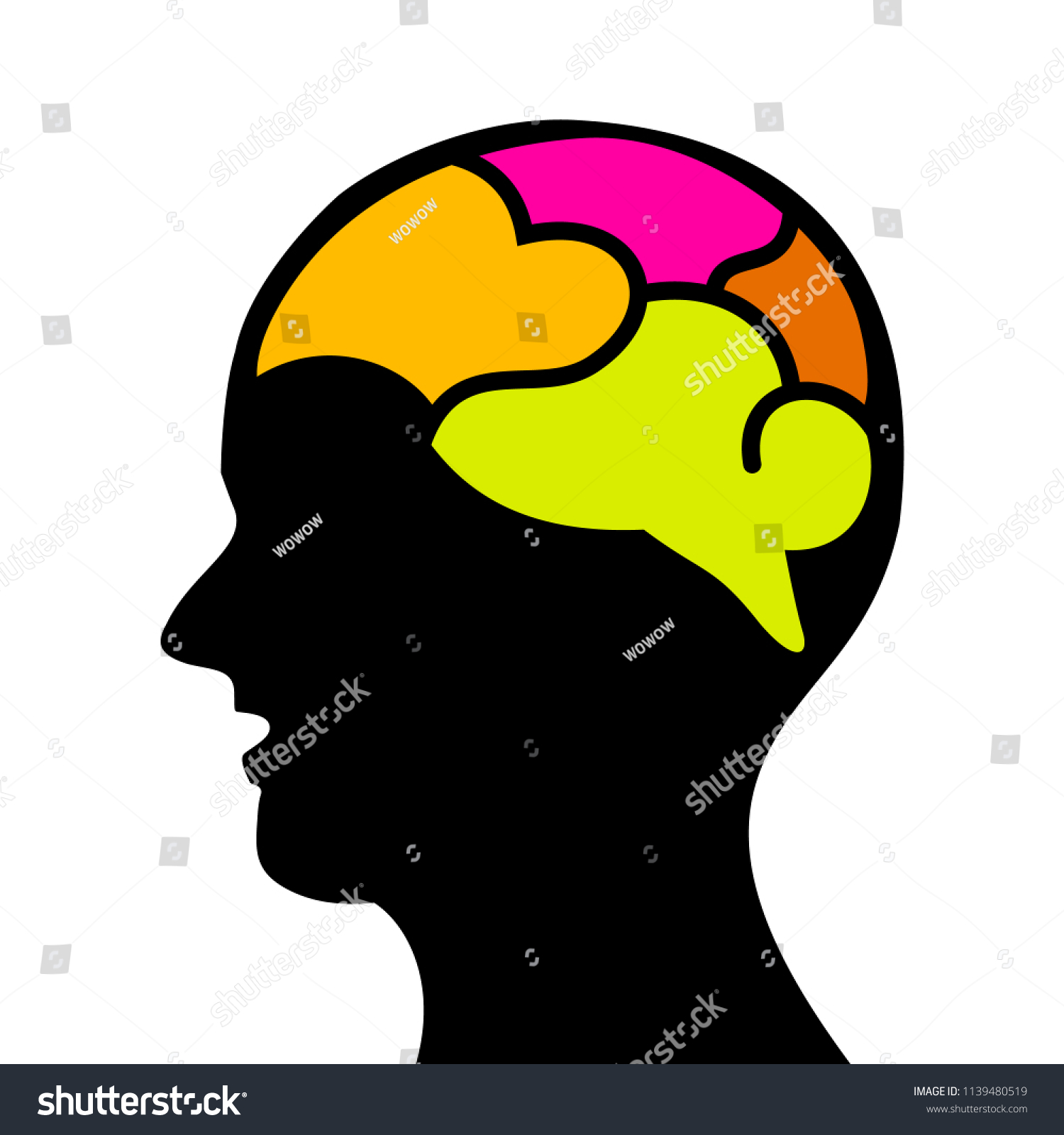 Infographics Human Brain Design Template Split Stock Vector (Royalty ...