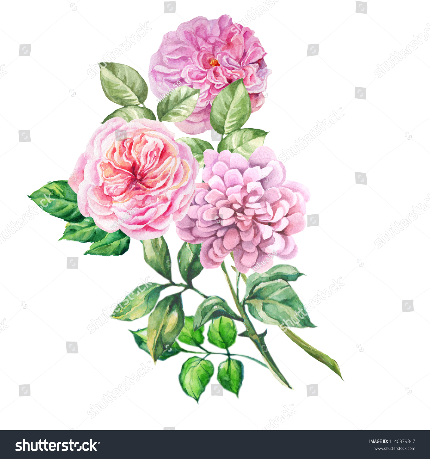 Watercolor Bouquet Pink Roseswatercolor Stock Illustration 1140879347 ...