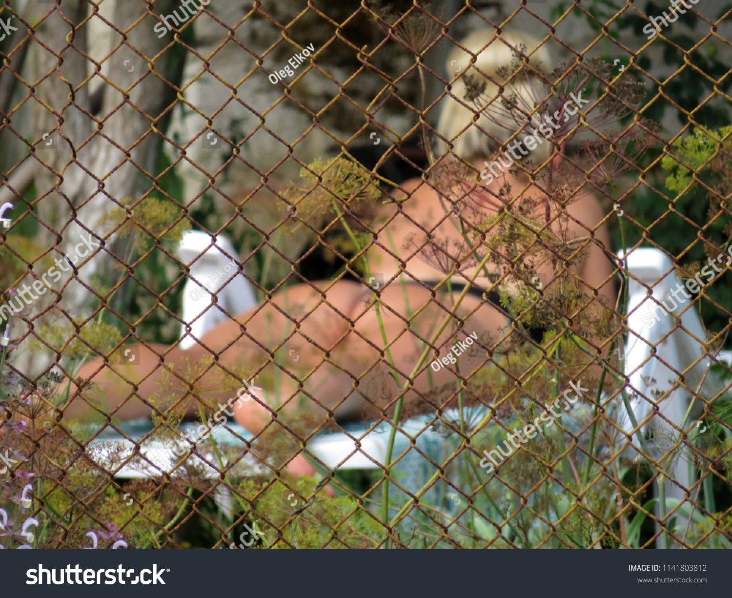 voyeur over the fence Porn Pics Hd